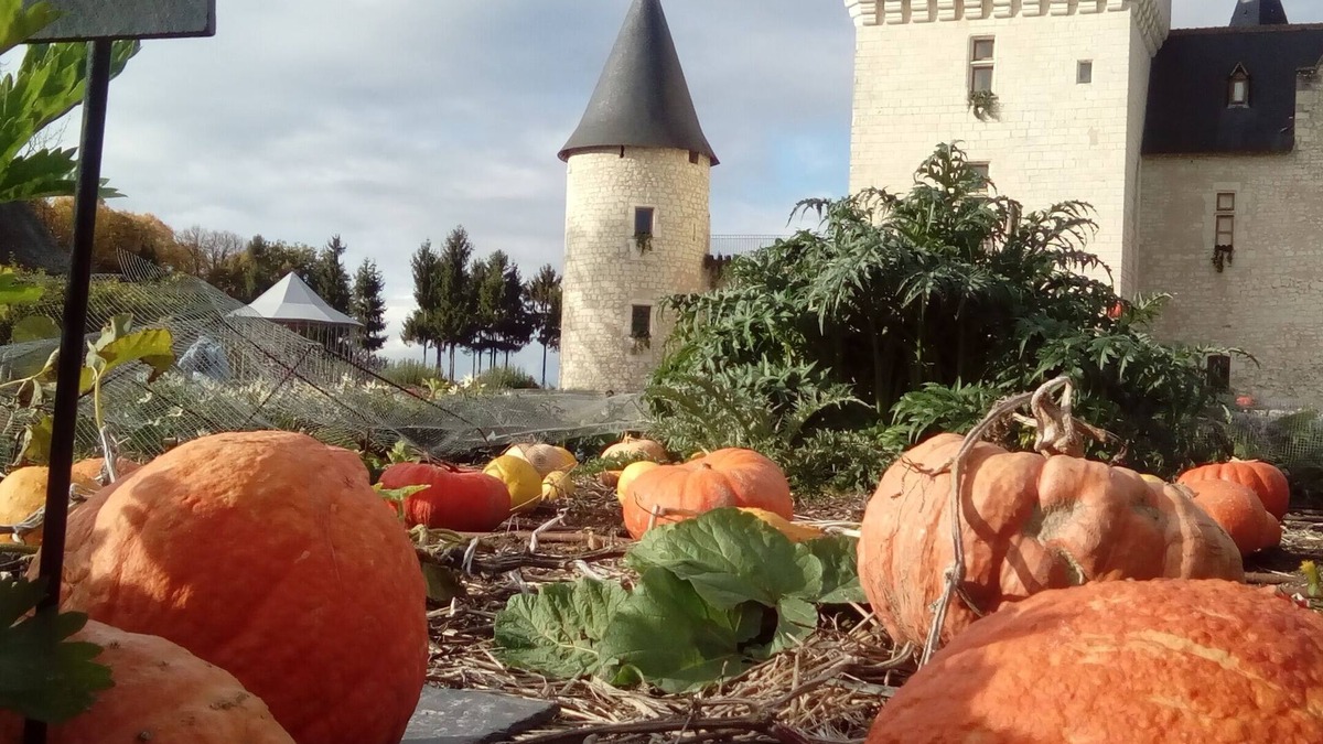 Saint-Avertin House | The lodging of eleven acres in the heart of Touraine