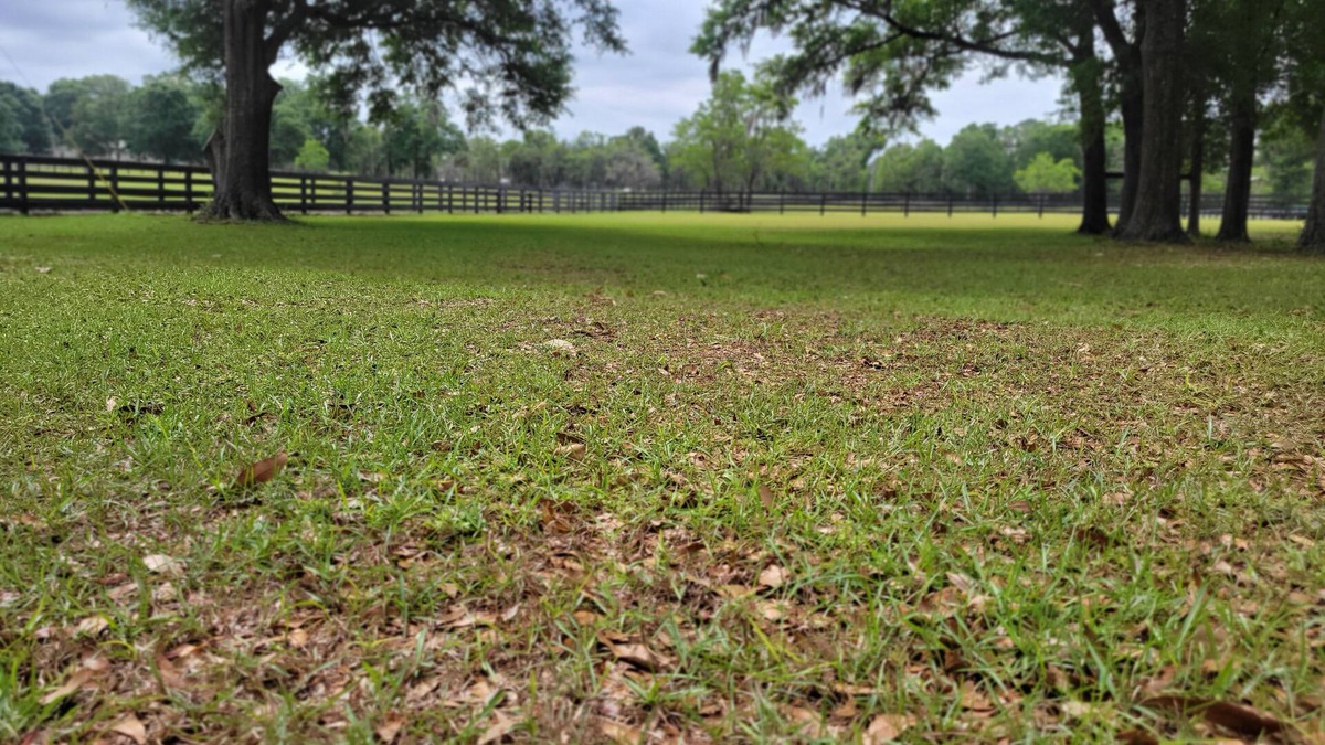 O Brien Cottage | The Lonestar Whitt Ranch