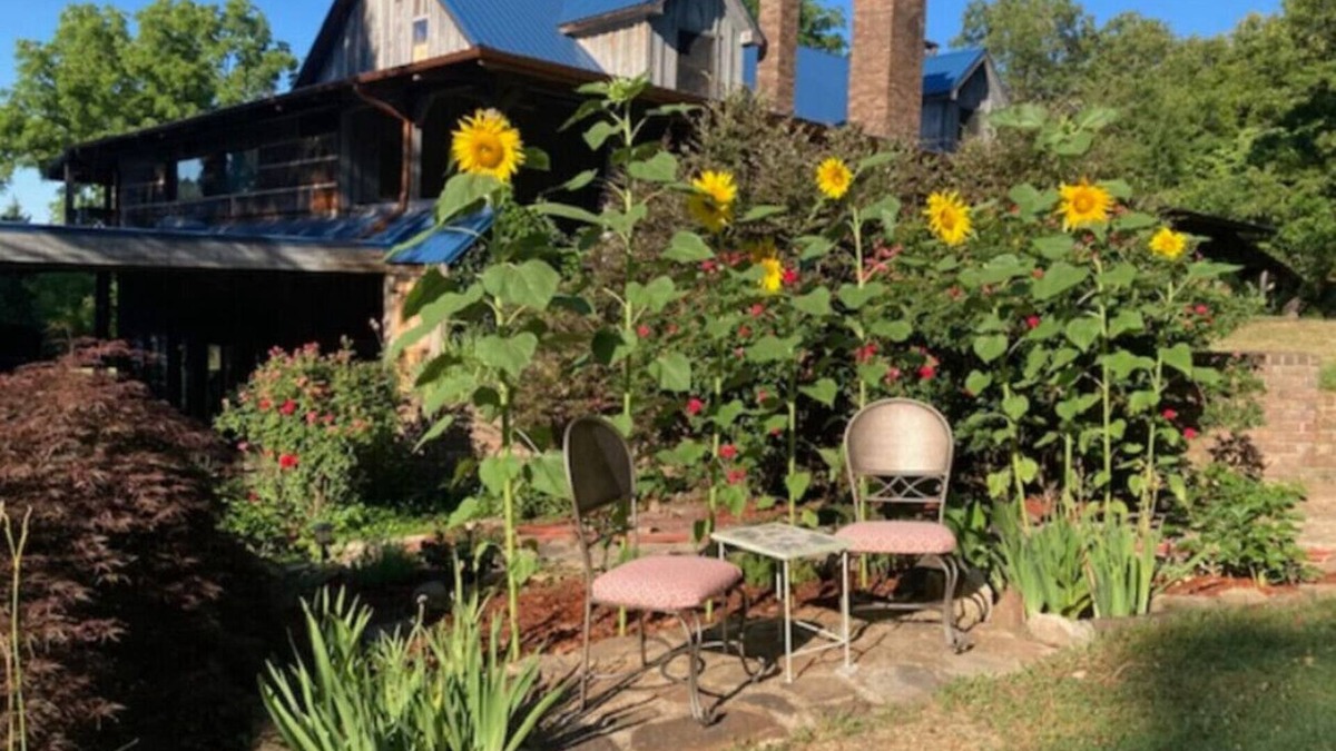 Mount Pleasant House | The Love Nest at Bluebird Estate