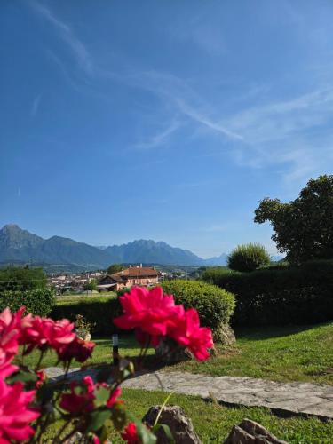 Feltre Apartment | The LP apartment