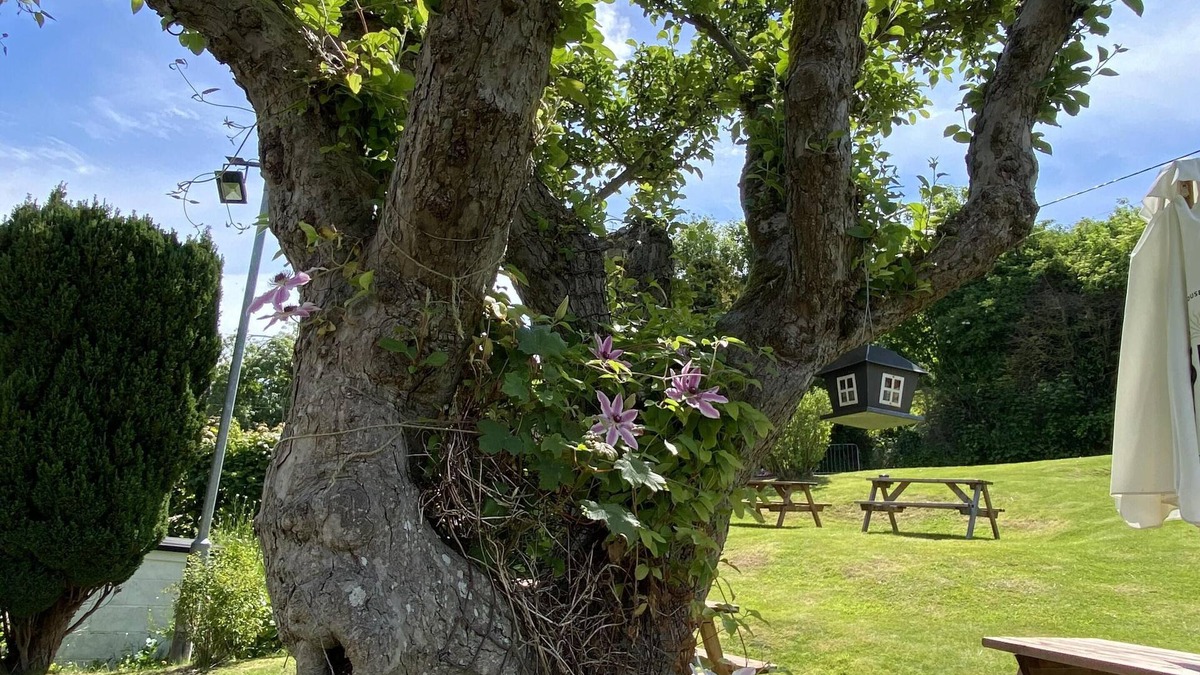 Lydden Bed & Breakfast | The Lydden Bell