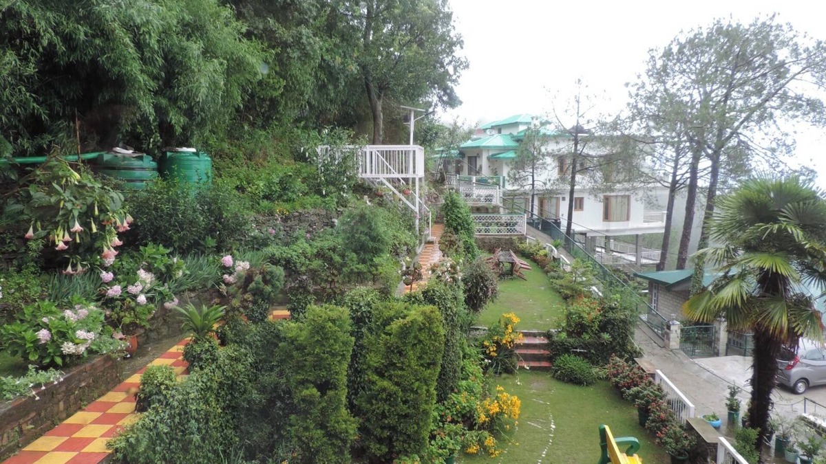 Kasauli Bed & Breakfast | The Majestic Cedar