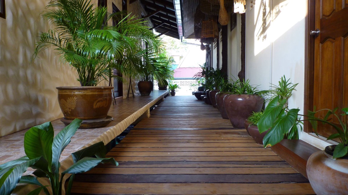 Koh Chang Tai Hotel | The Mangrove Hideaway Koh Chang