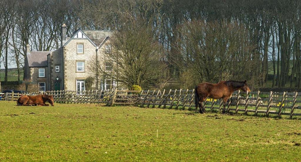 Blackwell in the Peak House | The Manor House