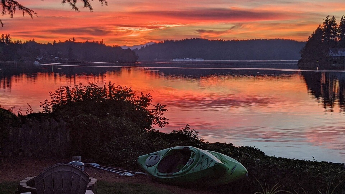 Shelton House | The most peaceful setting! Puget Sound Beachfront Quiet, Cute, and Clean Cottage