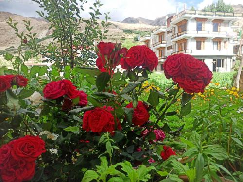 Nako Bed & Breakfast | The Mount View Retreat