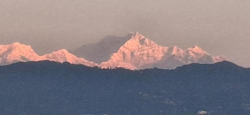 Kurseong House | The Mystic Cabin Homestay