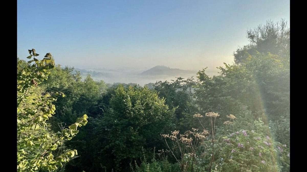 Colerne Cabin | The Nest at Gilling Grove - stunning treetop views