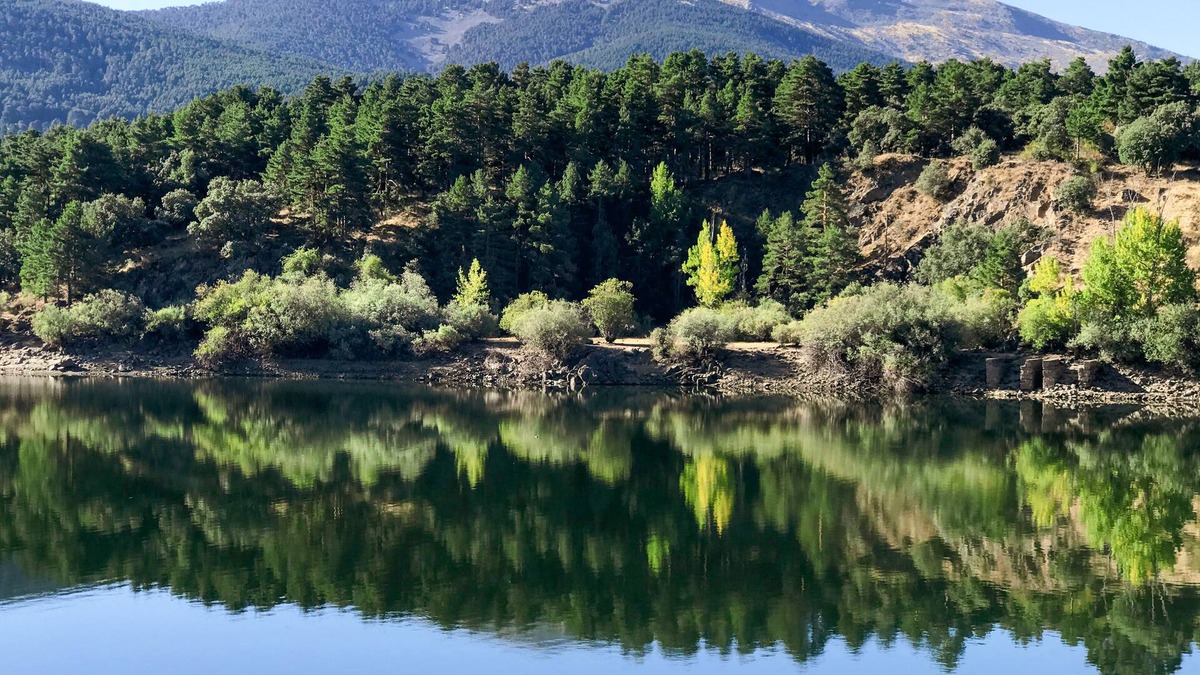 La Losa House | "the oak" of the houses of alex, family rest with all the luxuries.