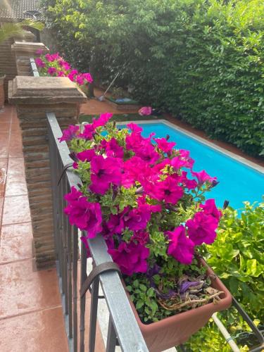 Spigno Saturnia Bed & Breakfast | The Oaks