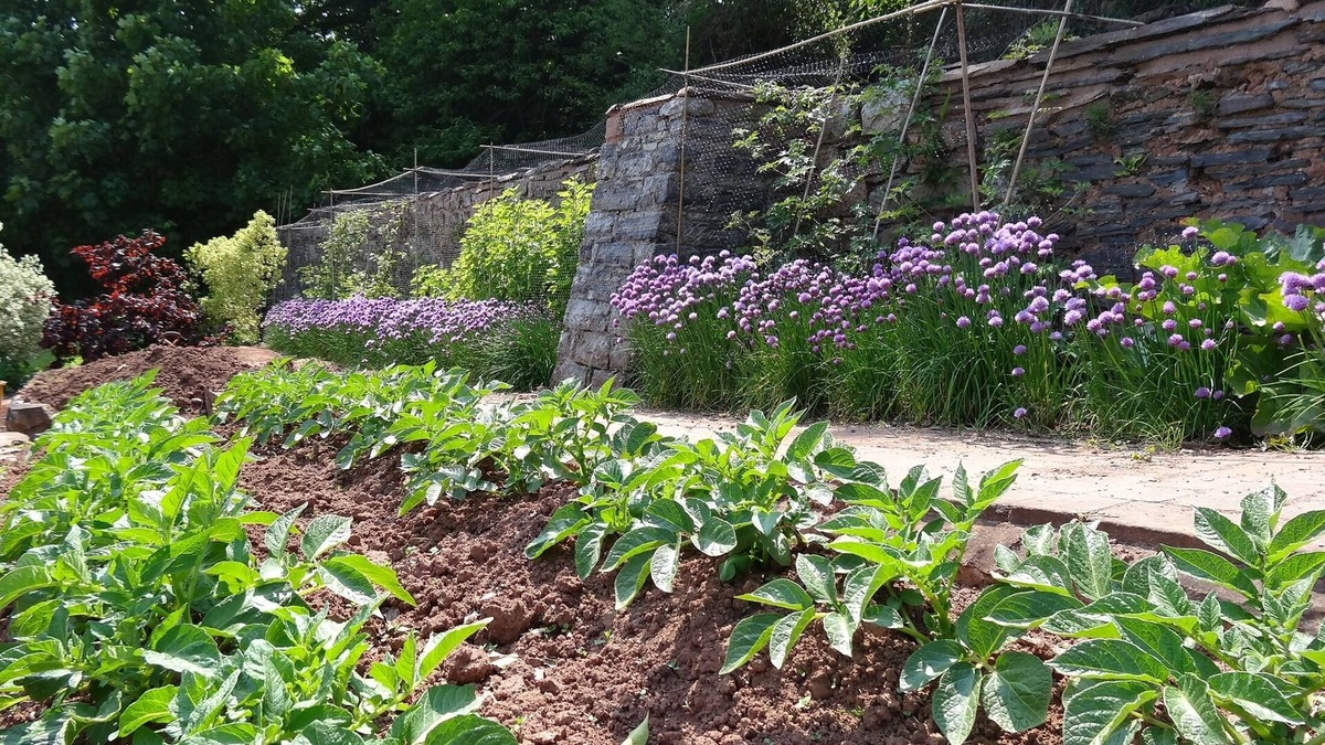 Cornwall Bed & Breakfast | The Old Dairy at Bishops Barton