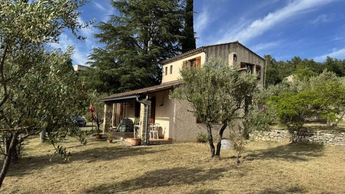 Correns House | The olive grove - CORRENS
