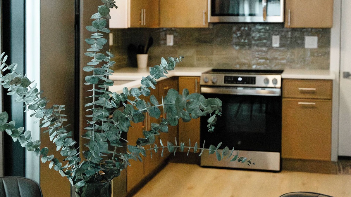 Berwick House | “The Olive House” Peaceful and Charming Home