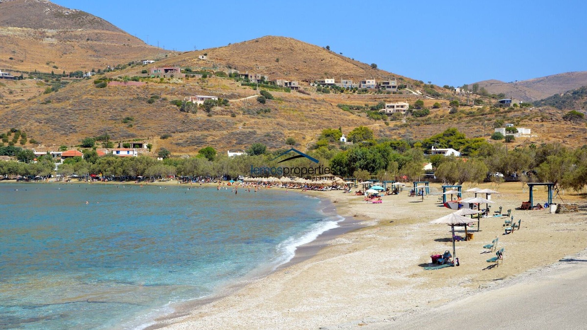 Kea House | The "Olive Tree" stone house 50 meters from the beach of Otzia.