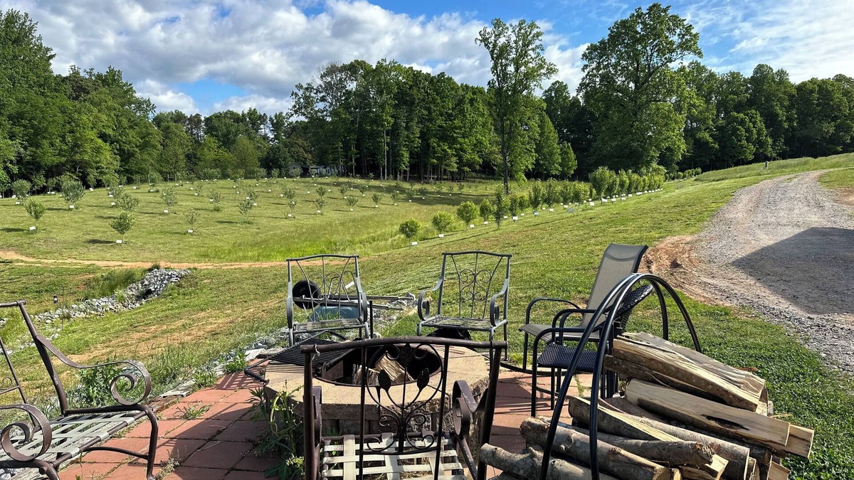Hamptonville Cabin | The Orchard Cabin – cozy retreat among apple trees