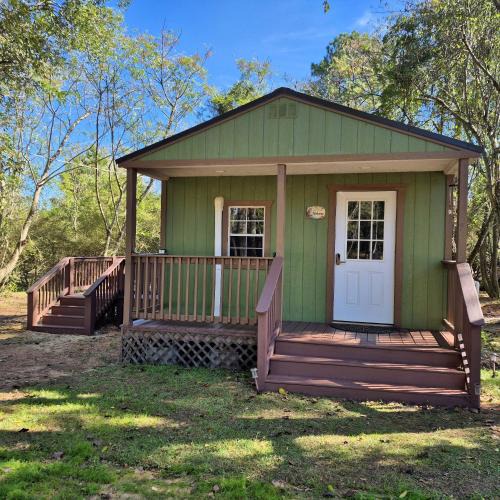 Evergreen House | The Owl's Nest