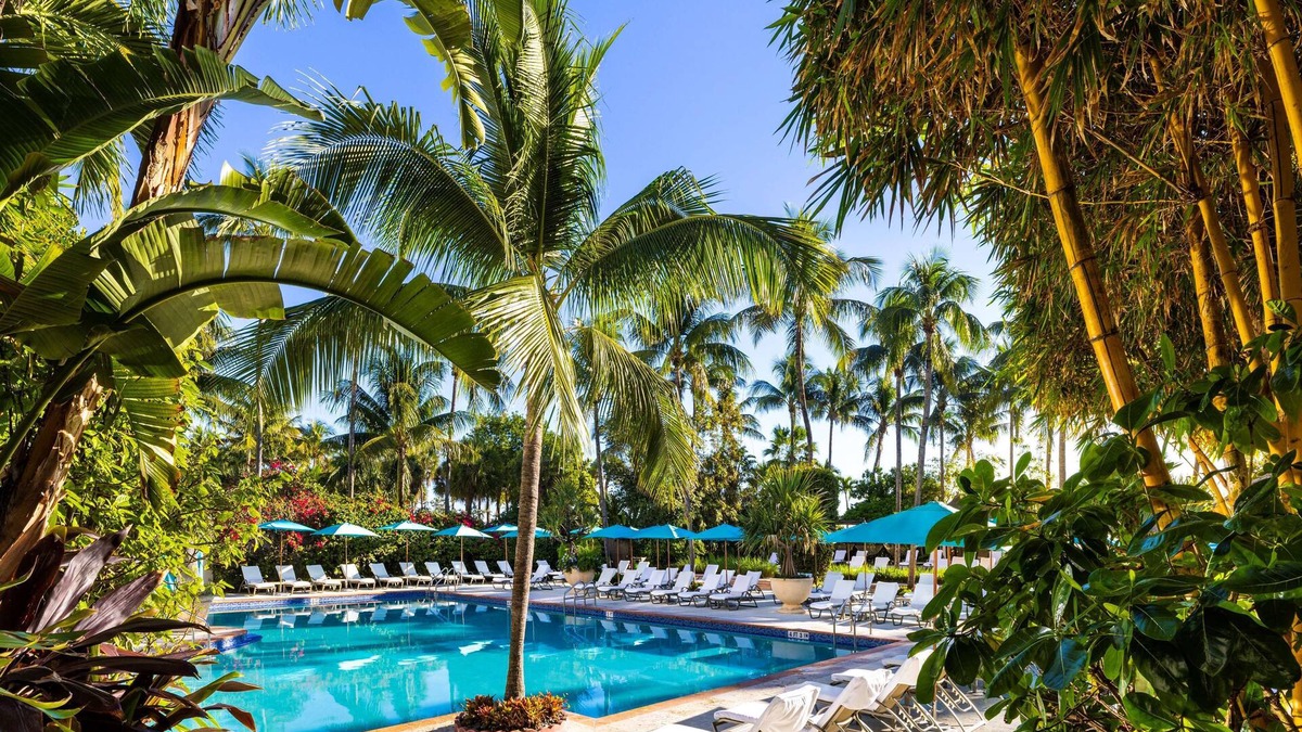 Mid Beach Hotel | The Palms Hotel & Spa