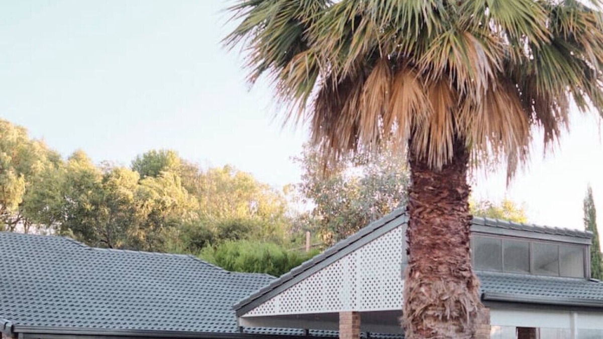 Port Willunga House | The Palms. Port Willunga