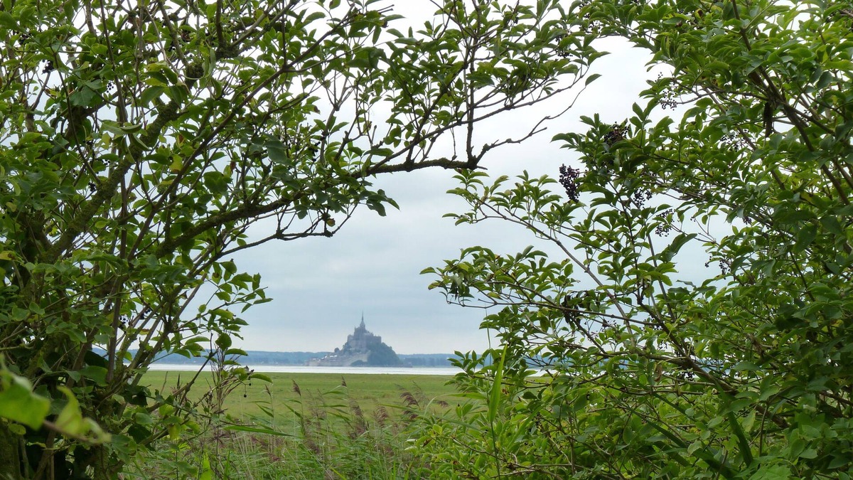 Saint-Etienne-en-Cogles House | The paths: between Saint Malo and Mont Saint Michel at the Vaugarny Manor