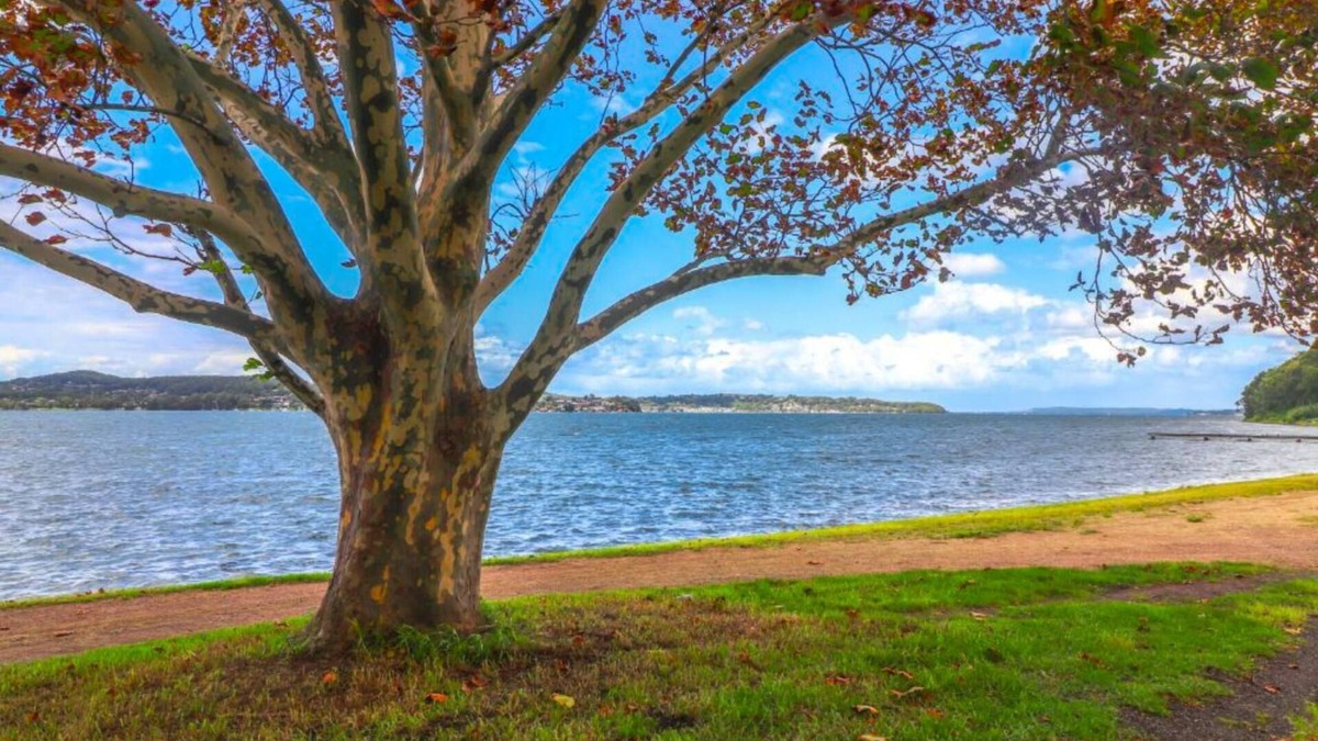 Marmong Point House | The Pelicans Rest - Close to boat ramp and marina