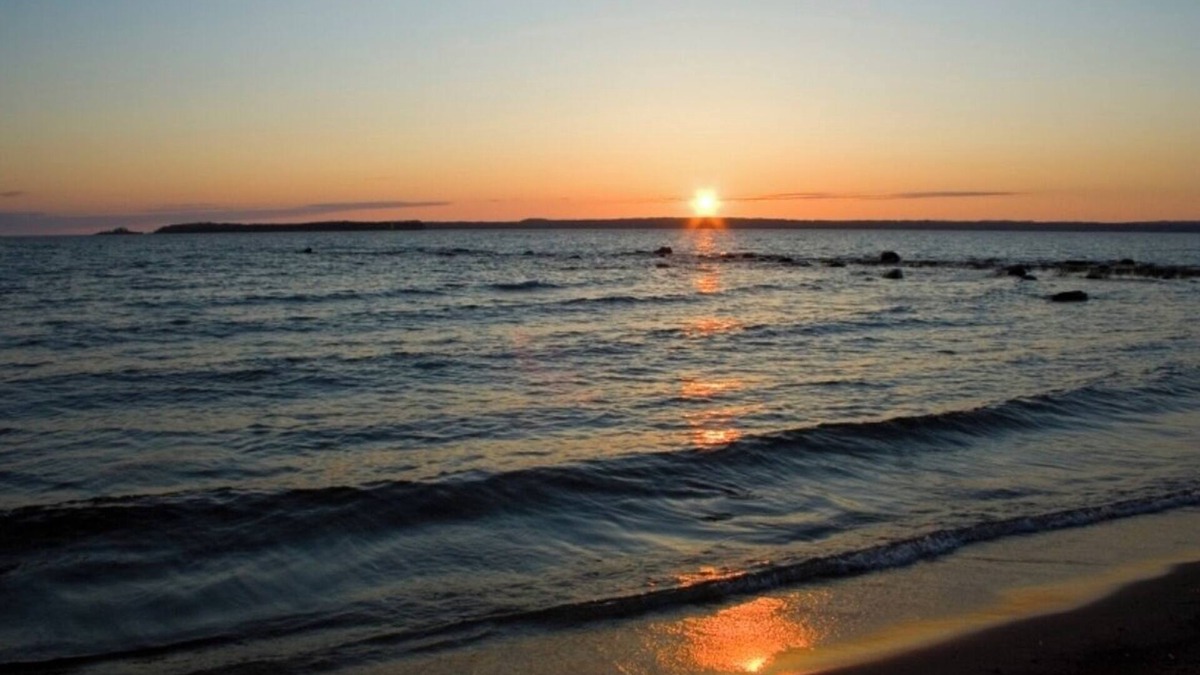 Tiny Cottage | The perfect get away by the Georgian Bay!