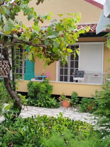 Perivolion House | The Pergola Cottage.Feel the local vibes!