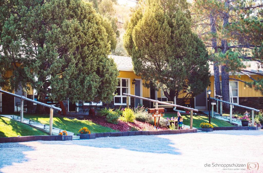 Newcastle Hotel | The Pines Country Inn