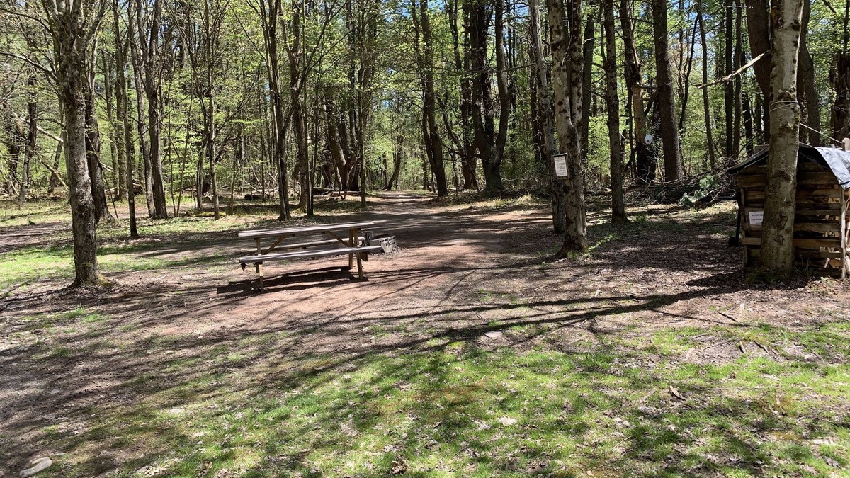 Unadilla RV Rental | The Pines Hill Top. Bring your own tent or rent one for 35, setup 25.