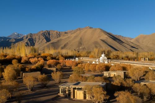 She Hotel | The Postcard in The Himalayan Willows, Stok, Leh