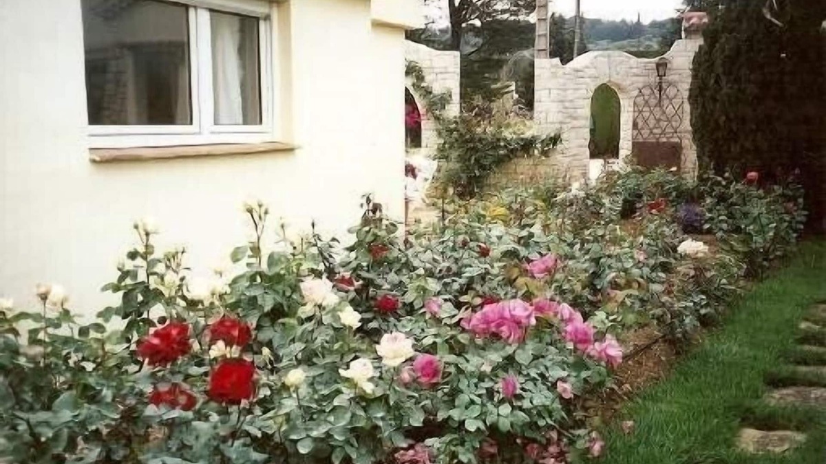 Ollioules Apartment | The quietness in the countryside, close to the sea