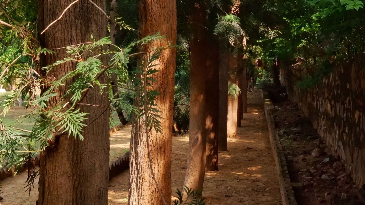 DLF City House | The Raghav - Villa/Farmhouse Getaway amidst Nature