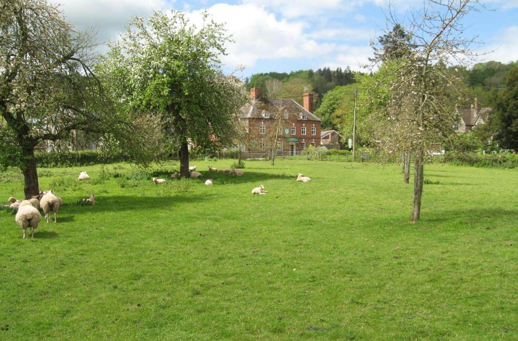 Bredwardine Hotel | The Red Lion Hotel