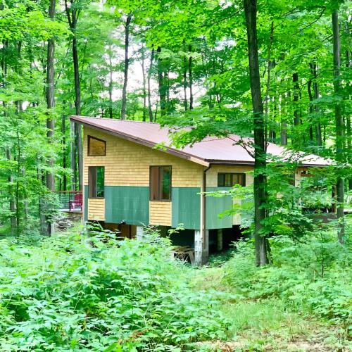 Petoskey Apartment | The Rhubarbary Ruins - with an outdoor sauna