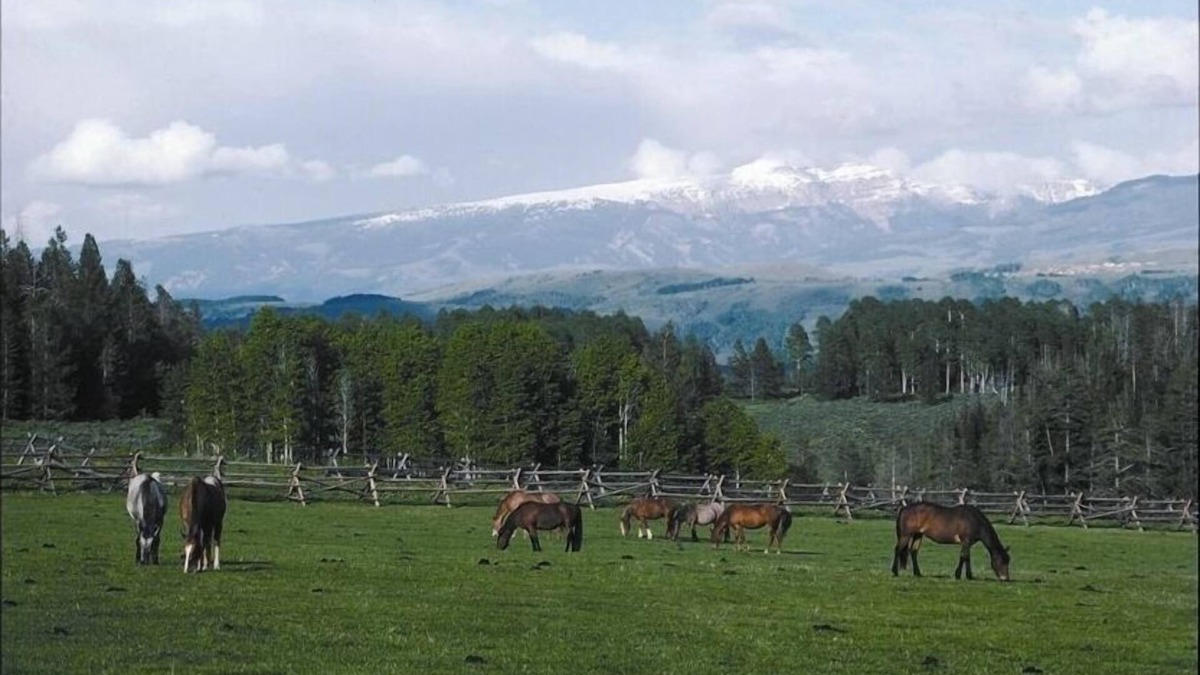 Wilson Cabin | The Ritz at the Historic Trail Creek Ranch