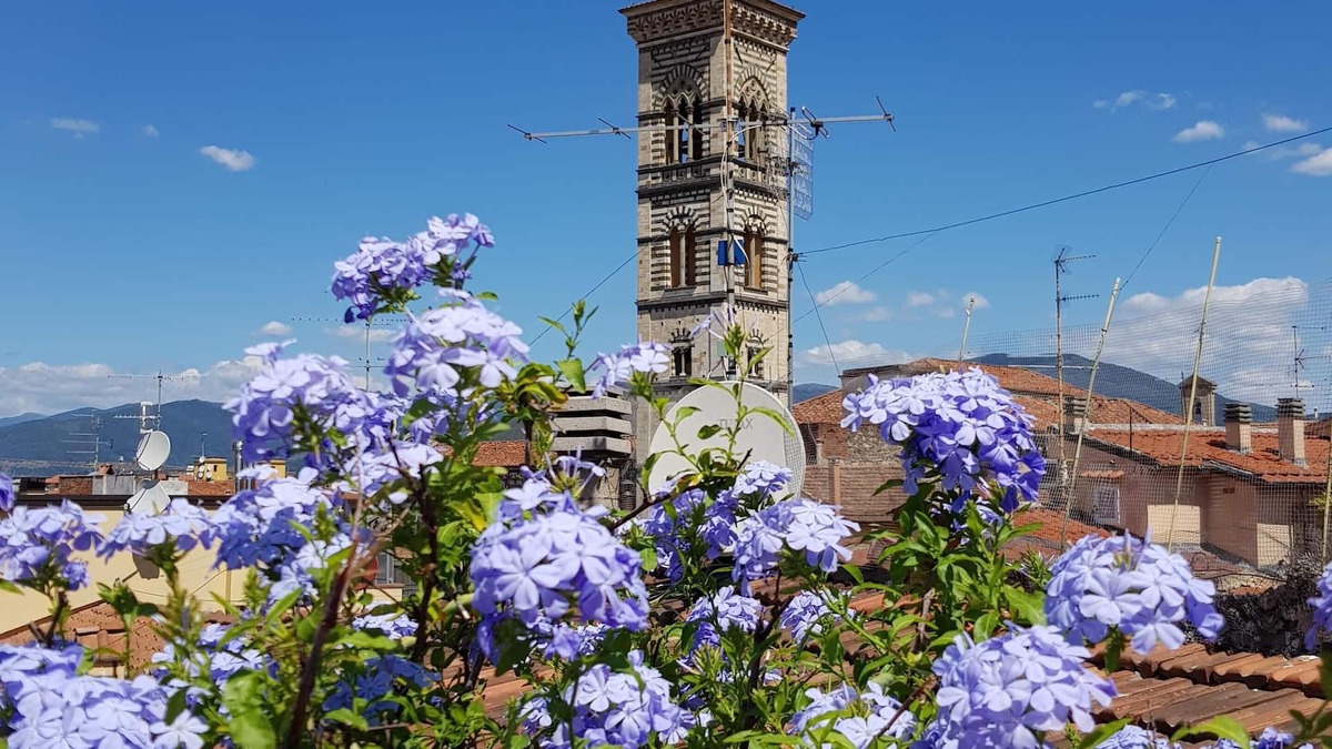 Prato House | The rooftop terrace overlooking the Duomo (just 20 minutes from Florence)