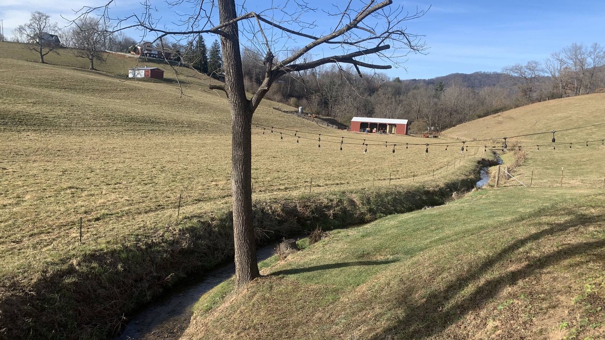 Clyde House | The Roost @ Happy Hollow Farms