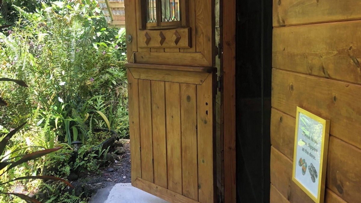 Kapoho Cabin | The Rose Cottage