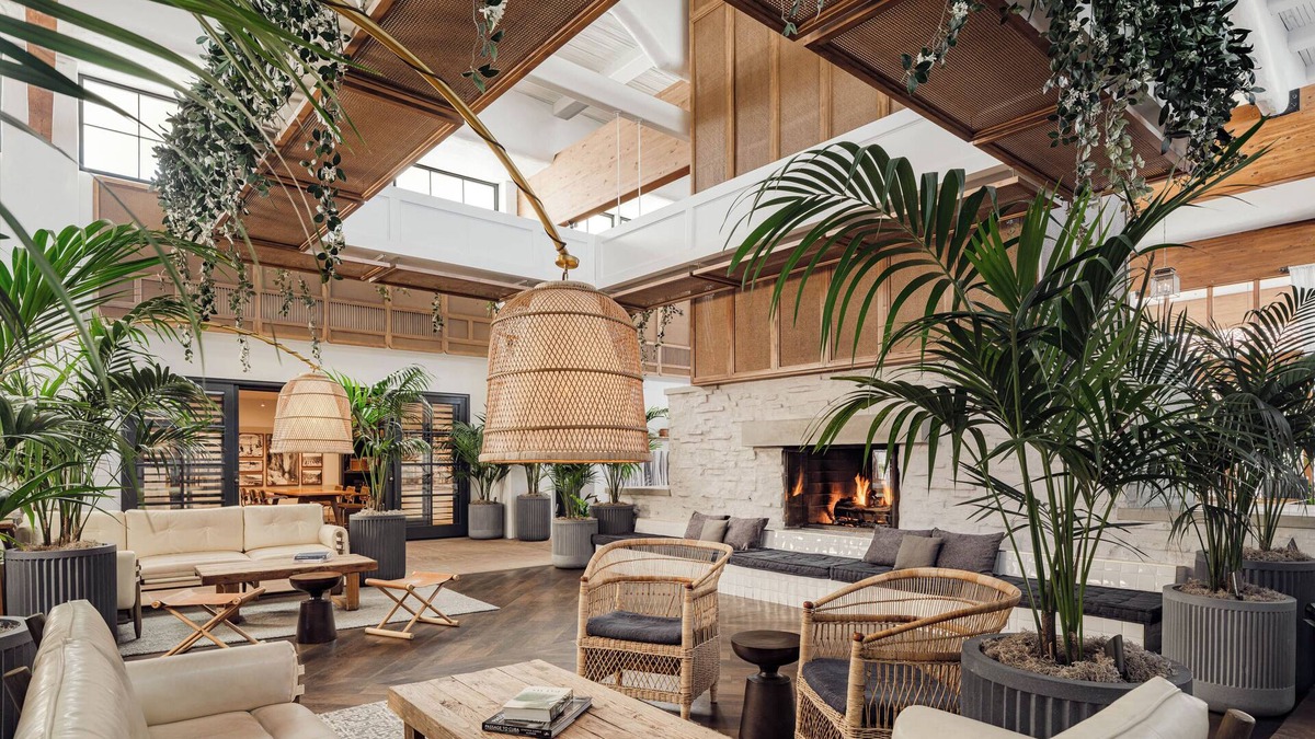 South Scottsdale Resort | The Scott Resort & Spa
