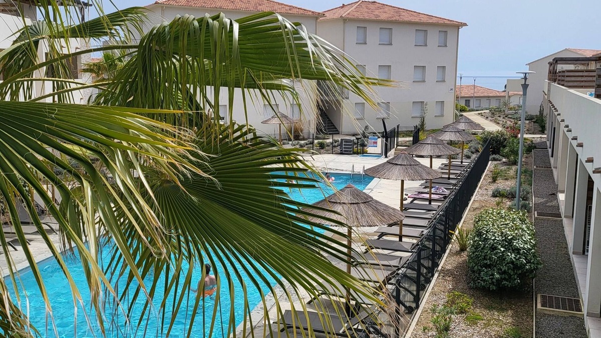 Bravone Apartment | The sigh of the palm trees
