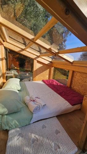 Calcata Other | The SkyRoom - AUT vita sotto gli alberi
