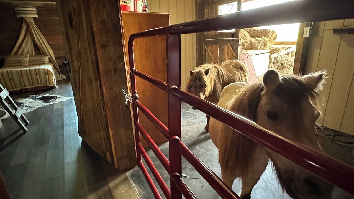 Heltonville House | The Stable- at Donkeytown, barndominium on a 40 acre guest ranch