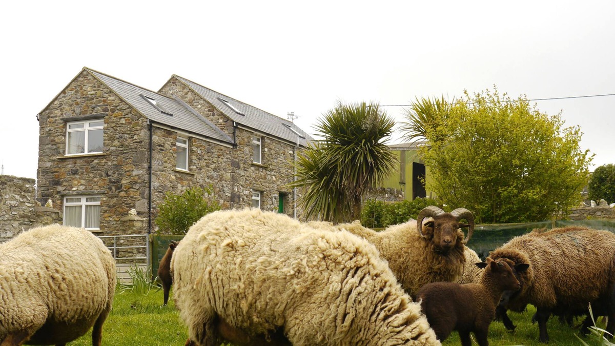 Cregneish Apartment | The Stable is a recently converted barn on a family run dairy and sheep farm situated near Port Erin