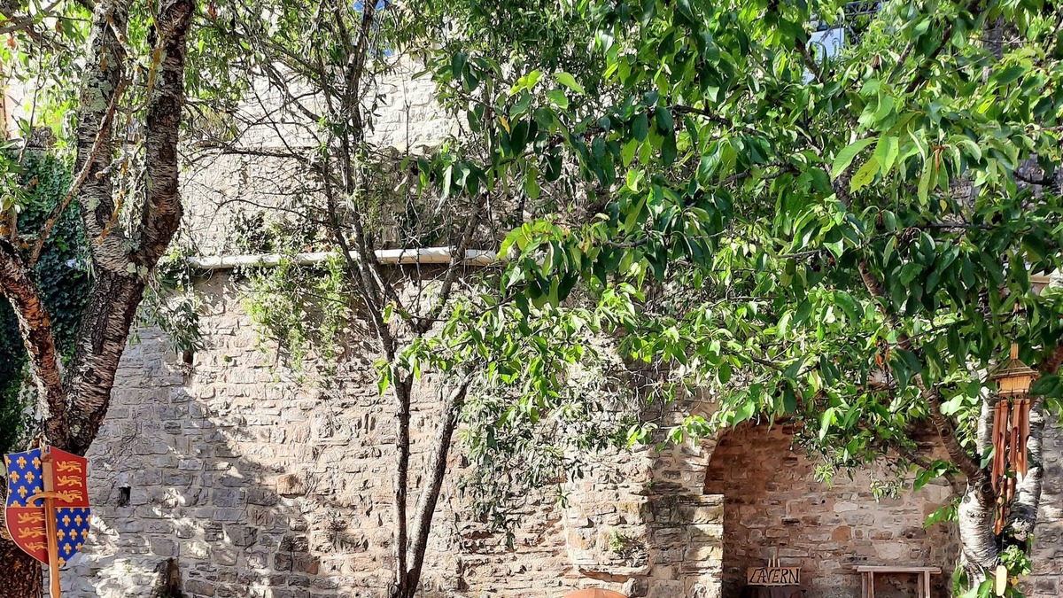 Cordes-sur-Ciel Apartment | The stonecutter's house in Occitan Tuscany