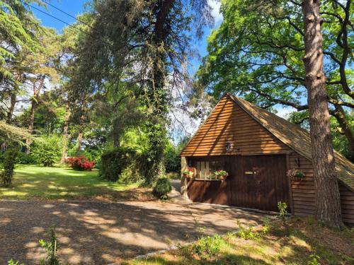 Coleman's Hatch Apartment | The Studio, Apedroc