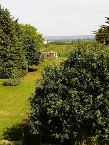 North Cadbury House | The Studio