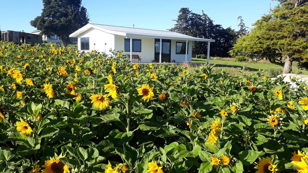 Waitaki District Cottage | The Sun set Cottage 5min from Oamaru or Kakanui