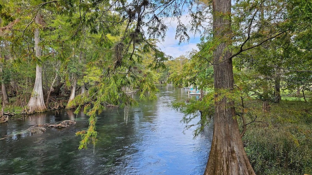 Fort White Cabin | The Tipsy Turtle located on Ichetucknee River!