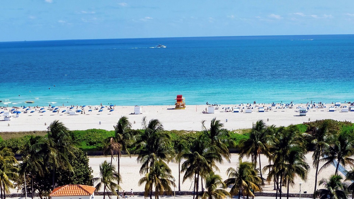 Flamingo/Lummus Hotel | The Tony Hotel South Beach