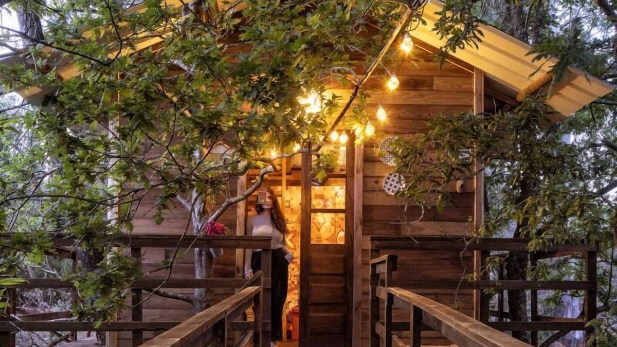 Albergaria-a-Velha House | The Tree House Alameda