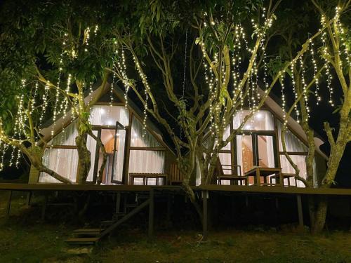 Moc Chau House | The Tree House Moc Chau